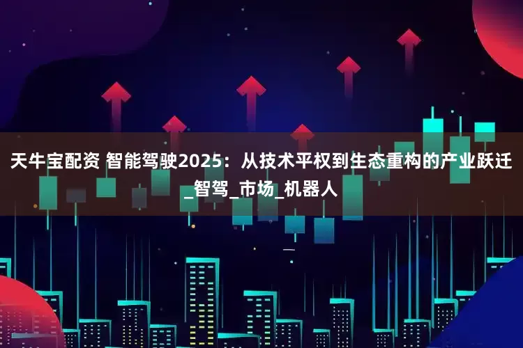 天牛宝配资 智能驾驶2025：从技术平权到生态重构的产业跃迁_智驾_市场_机器人