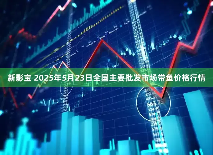 新影宝 2025年5月23日全国主要批发市场带鱼价格行情